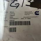 Cummins Crankshaft Oil Seal 4089342 Nos
