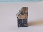     Meteorite Nwa 7867  ll7-breccia  - 3 4 G    