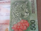 Wild Cat Banknote Set  4 Unc Notes   Tanzania Congo India Lion Tiger New Polymer