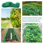 33ft Anti Bird Netting Pond Net Protection Tree Crops Plants Fruits Garden Mesh