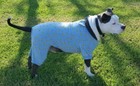 Pet Clothes Dog Pajama Jumpsuit Cute Soft Cotton Teddy Cat Sleepwear Coat