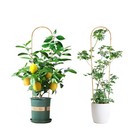 4ft Wooden U-shaped Trellis  3pcs     Garden Support For Vines   Potted Plants