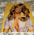 Farrah Fawcett Francisco Scavullo Fantasy Metallic Poster Outtake  2 