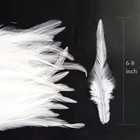 100pcs Saddle Hackle Rooster Feather For Crafts  5-7 Inch Natural Pheasant Neck
