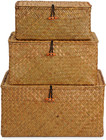 Woven Wicker Storage Bins With Lid  Seagrass Basket For Shelf Organizer  Extra L
