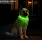 Usb Rechargeable Led Dog Collar     Light Up Safety Collar For Night Walking
