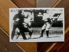 Lot Of 4  Vintage Babe Ruth Photo Prints   Ny Yankees Baseball Trading Card Size