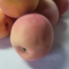 Lot Of 11 Artificial Peach Large Realistic Fruit Peaches Pink Fake Fuzzy Faux