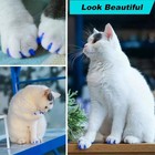 120pcs Cat Nail Caps   Cat Nail Covers   Cat Claw Caps With Adhesives And Applic
