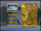 Extinct Attractions Club - If You Had Wings