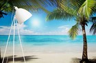3d Beach Palm Tree Sun Landscape Self-adhesive Removeable Wallpaper Wall Mural1