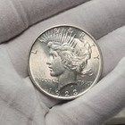 1923 P Peace Silver Dollar  1 Us Coin Choice Bu Uncirculated P23db6