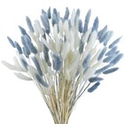 Cisdueo 120pcs Dried Bunny Tails Flowers Lagurus Ovatus Tail White And Grey
