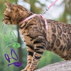 Adjustable Cat Harness And Leash Escape Proof Walking Vest For Small Cats Dogs 