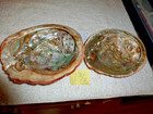 Abalone Shells 7 3 8  Length X Two