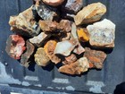 Mixed Agate jasper fossil Etc  Utah Material  8 lb  Rough Lot 