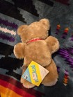 Vintage Eden Toys Wind Up Musical Teddy Bear Plush Stuffed Animal 