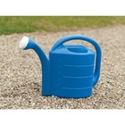 Novelty Deluxe Plastic Garden Watering Can  Bright Blue  2 Gallons