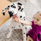 Giant Dalmatian - Lifelike Stuffed Animal Dog  over 2 Feet Tall  - Extra Large S