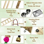 Bird Playground Parrots Play Stand Birdcage Play Stand Play Gym Parakeet Ladd   