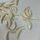 Lot Of 50 Damaged Cracked Coyote Fangs Teeth Goth Real Taxidermy Cleaned  3975
