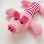 2pet Dog Puppy Chew Toy Cat Squeaker Squeaky Soft Plush Play Sound