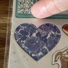 Maggie Holmes Chipboard Stickers 43 Stickers Total    all Things Grow With Live   
