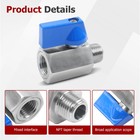 1 4  Npt Male    1 4  Npt Female 2 Pack 316 Stainless Steel Mini Ball Valve