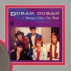 Duran Duran Hungry Like The Wolf Framed Picture Sleeve Gold 45 Record Display M4