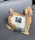 Bloodhound Picture Frame  And Lapel Pin 