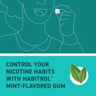 Habitrol Nicotine Gum - 2 Mg  Mint Flavor  150 150 Count  pack Of 1   