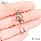 Human Skeleton - 1 48 Scale Miniature For Diorama  Dollhouse  Tabletop Crafts
