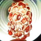 Leklai Kaew Mother Branch Germinate Summon Red Achan Somphon Thai Amulet