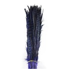 Set Of 10pcs Natural Dyed Pheasant Tails Feathers 12-14 Inch Diy Decoration     