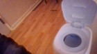Diaper Genie Playtex   Diaper Pail   Odor Lock   White   Free Shipping 