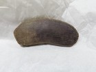 1920s Pince-nez Eyewear Glasses  Frames  Case