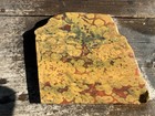 Morgan Hill Poppy Jasper Rough Slab For Lapidary Cabbing And Display