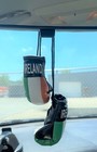 12 Pack Mini Boxing Gloves Ireland Country Flag National Pride Mma Team Sports