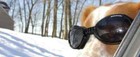 Doggles Ils Sunglasses goggles Uv Protection Eyewear For Dogs - Black medium