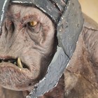 Lord Of The Rings Polystone Bust Siege Tower Troll Sideshow Weta 3000 Ex
