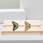  Butterfly Specimen Tool Baby Spread Boards Butterflies Spreading