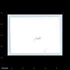 Old Vintage Photo Woman With Glasses Outside 1964