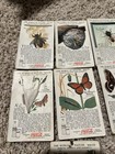 Trademark Coca Cola Vintage Trading Cards The World Of Nature Series  8 Lot Of 7