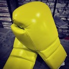 Boxing Gloves 14 Oz Lace Up