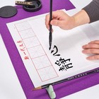 Chinese Calligraphy Brushes Set professional Sumi Water Writing  Japanese Pai   