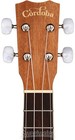 Cordoba 15cm Concert Ukulele - Mahogany