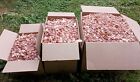 Red Cedar Shavings Pet Bedding Fresh Dry Natural Multiple Sizes