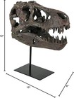 Tyrannosaurus Skull Replica Dinosaur Bone Big Sculpture Head Trex Large Nice New