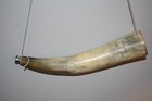Vintage Bull   Cow  Blow Horn W  Leather Strap   Metal Mouth Piece  16    Long