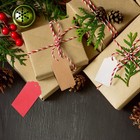 100pcs Kraft Paper Gift Tags With String Blank Hanging Labels Diy Craft Tags